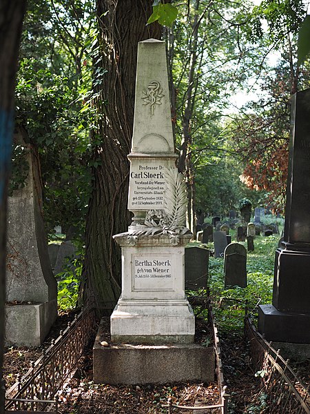 File:Carl Stoerk grave, Vienna, 2018.jpg