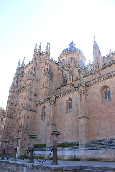 File:Catedral Nueva de Salamanca19.jpg