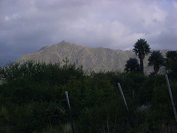 Cerro negro.