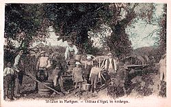 Vendanges au Château d'Aigut, à Saint-Julien-les-Martigues, au début du XXe siècle.