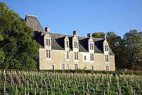 Иллюстративное изображение статьи Château de la Cour-au-Berruyer