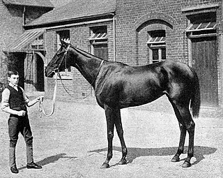 <span class="mw-page-title-main">Chelandry</span> British Thoroughbred racehorse