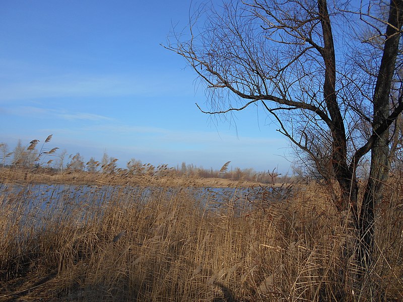 File:Cherkas'kyi district, Cherkas'ka oblast, Ukraine - panoramio (1139).jpg