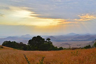 <span class="mw-page-title-main">Chyulu Hills</span> Mountain range in Kenya