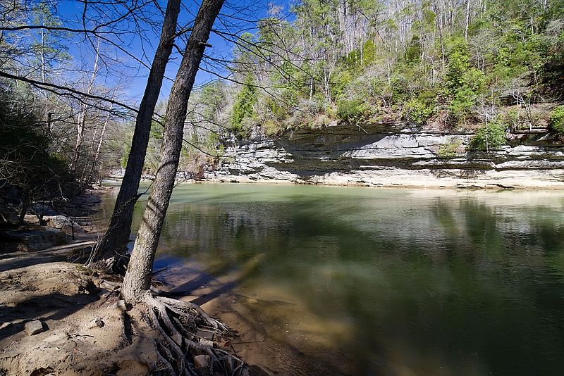 File:Clear Creek Bankhead NF.jpg