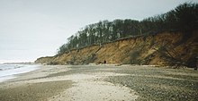 Cliffs at Easton Wood, near Covehithe, Suffolk - geograph.org.uk - 52726.jpg