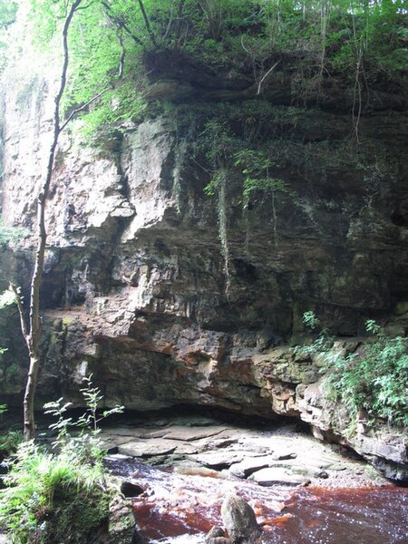 File:Cliffs below Hareshaw Linn - geograph.org.uk - 3303882.jpg