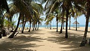 Thumbnail for Coconut Beach Badagary