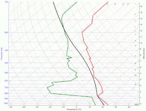 Convective instability animation 12Z 21Z Jan08.gif