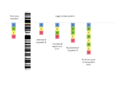 Copy number variants.png