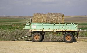 Wagen: Bauweise, Geschichte, Sprachgebrauch