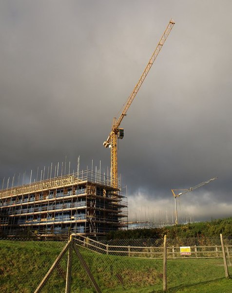 File:Cranes at Orleigh - geograph.org.uk - 1052903.jpg