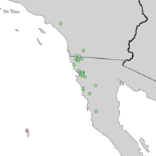 Cupressus forbesii e Cupressus guadalupensis range map 4.png