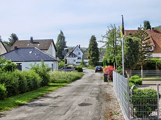 D-NW-LIP-Bad Salzuflen-Wüsten - Steinweg