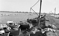 قوارب الصيد في المستوطنة، 1969