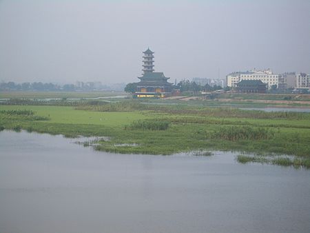 Đại Dã