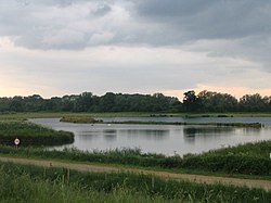 Deeping Lakes Nature Reserve - geograph.org.uk - 15628.jpg