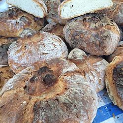 PGI Pan de Galicia DiaMundialdelPan pan de Galicia (22190378976).jpg