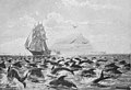 File:Die Gartenlaube (1896) b 0093.jpg (S) In der Meerenge von Gibraltar Nach einer Originalzeichnung von A. Kircher