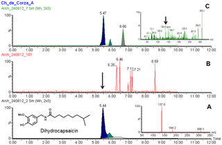 <span class="mw-page-title-main">Dihydrocapsaicin</span> Chemical compound