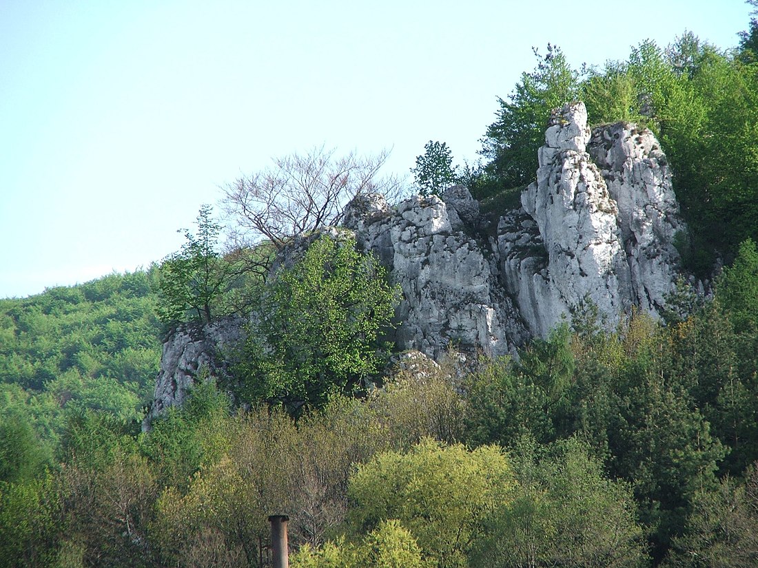 Rezerwat przyrody Dolina Racławki