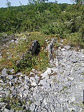 Dolmen senil o perrera (2) .jpg