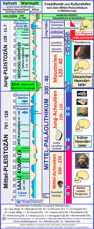 Neandertaler: Namensgebung, Funde, Körperbau