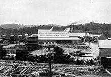 Manunui mill before 1915 fire Ellis and Burnand's sawmill and timber yard at Manunui (21638826165).jpg