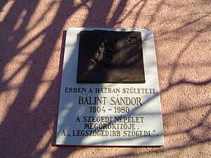 Le lieu de naissance de Sándor Bálint était le 72 de la rue Pálfy. La plaque commémorative de la maison a été dévoilée en 1984 par István Sőtér-langue=hu (en), universitaire et historien de la littérature. La plaque a été réalisée par Gyöngyi Szathmáry. Mais le 4 août 2004, à l'occasion du 100e anniversaire de la naissance de Sándor Bálint, la démolition de sa maison natale a commencé, et une maison a été construite sur le site.