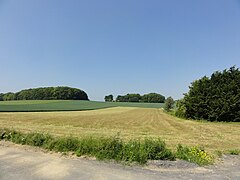 Emplacement réel du puits dans cette pâture.