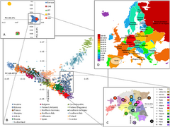 October 27: map of European genetic structure based on single-nucleotide polymorphism analysis