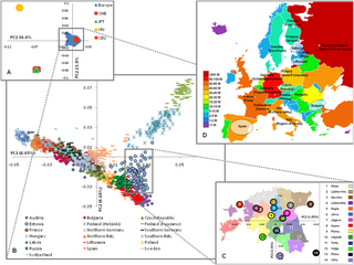 <span class="mw-page-title-main">Genetic history of Europe</span>