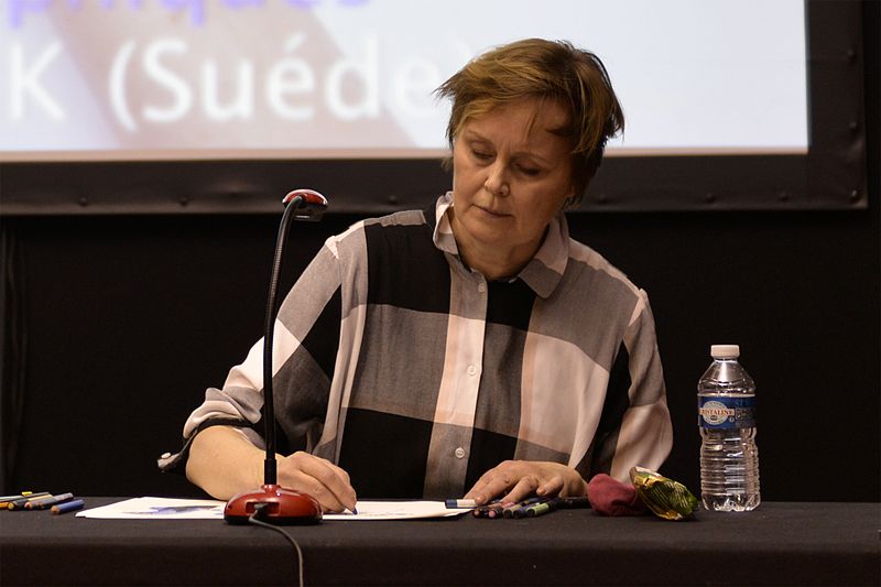 File:FIBD2017AnneliFurmark.jpg