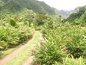 Taiarapu-Leste