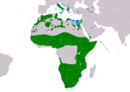 Südeuropa, Arabische Halbinsel und in Afrika weit verbreitet