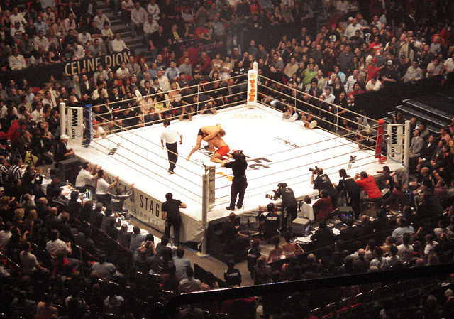 Fedor Emelianenko vs Mark Coleman at Pride 32 in 2006. It was Pride's first international event, taking place in Las Vegas, United States.