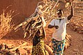 Femmes au champ à Tanlili - Burkina Faso.jpg