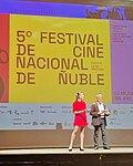 Miniatura para Festival de Cine Nacional de Ñuble