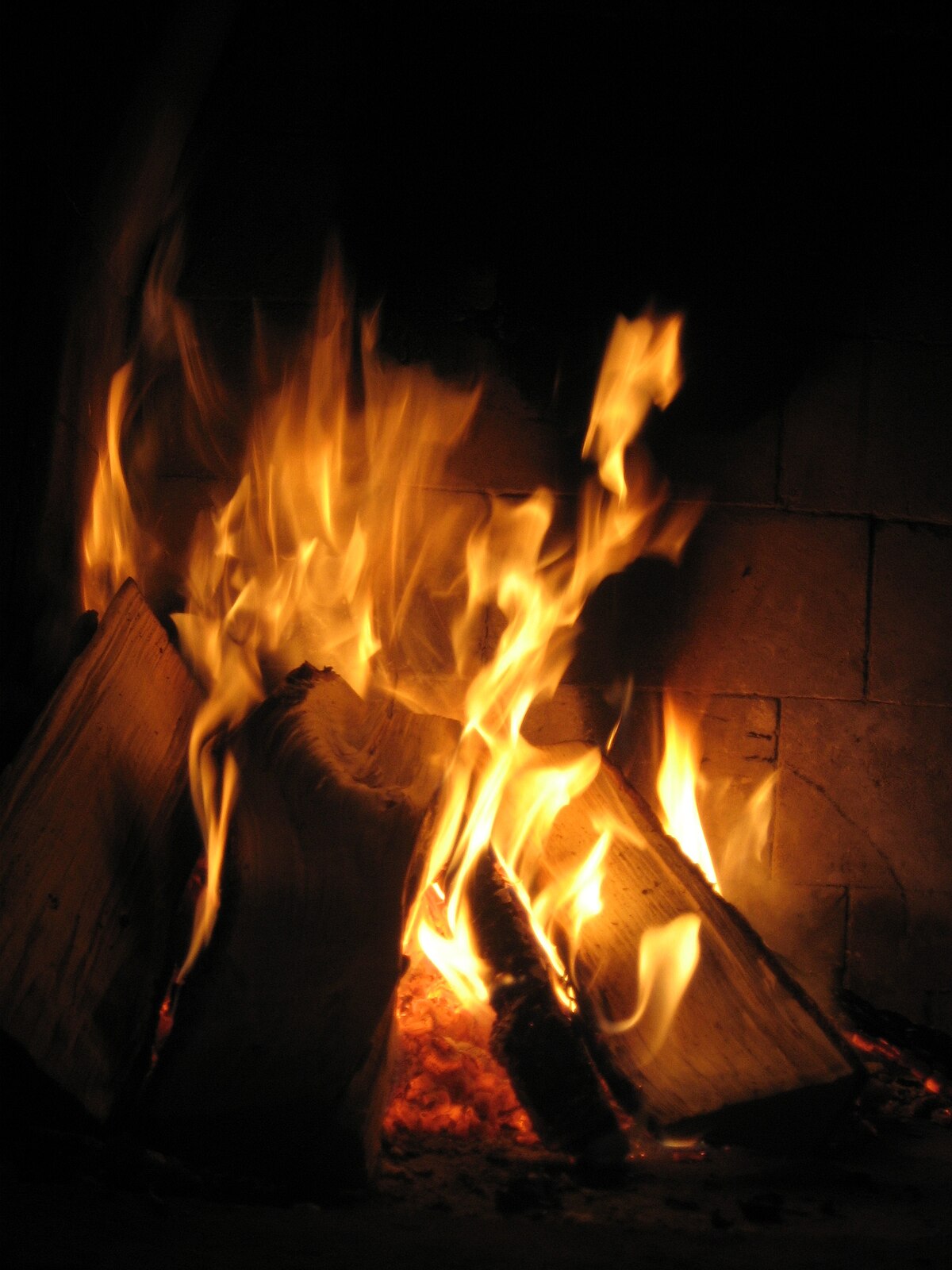 File:Campfires burning wood pits.jpg - Wikimedia Commons