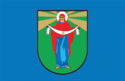 Distretto di Mlyniv – Bandiera