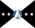 太空軍作戰次長旗