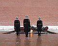 * Nomination Soldiers in front of the eternal flame in Moscow (Russia). --Gzen92 10:50, 10 August 2018 (UTC) * Promotion Good quality. --GPSLeo 13:10, 10 August 2018 (UTC)