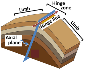 Anticline