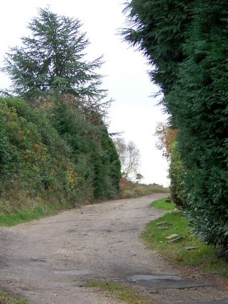 File:Footpath, Holt Heath - geograph.org.uk - 1589541.jpg