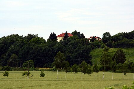 Friedrichslust