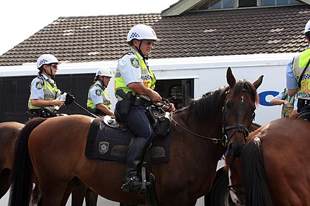 Mounted Unit officers on patrol at a festival