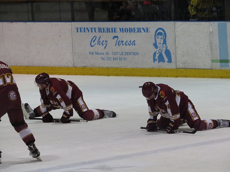 File:GSHC - Dragons de Rouen, 11 août 2017 - 07.jpg