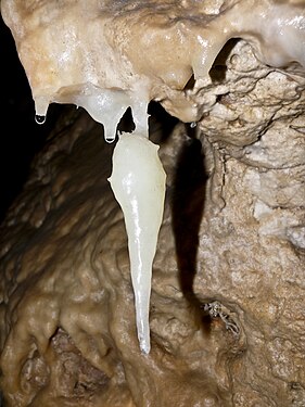 excentric stalagtite, Geisloch Cave, Franken, germany