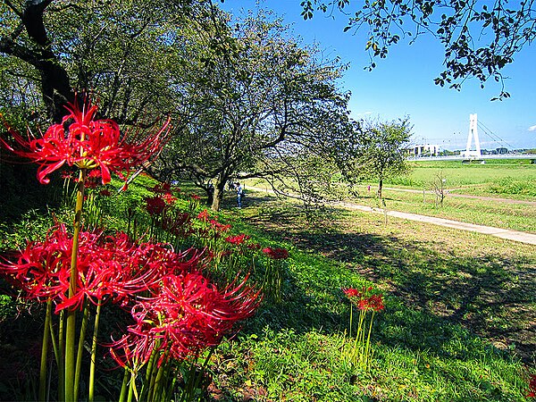 Gongendō Park