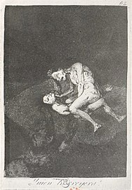 Francisco De Goya Y Lucientes Catalog Raisonn Wikimedia Commons